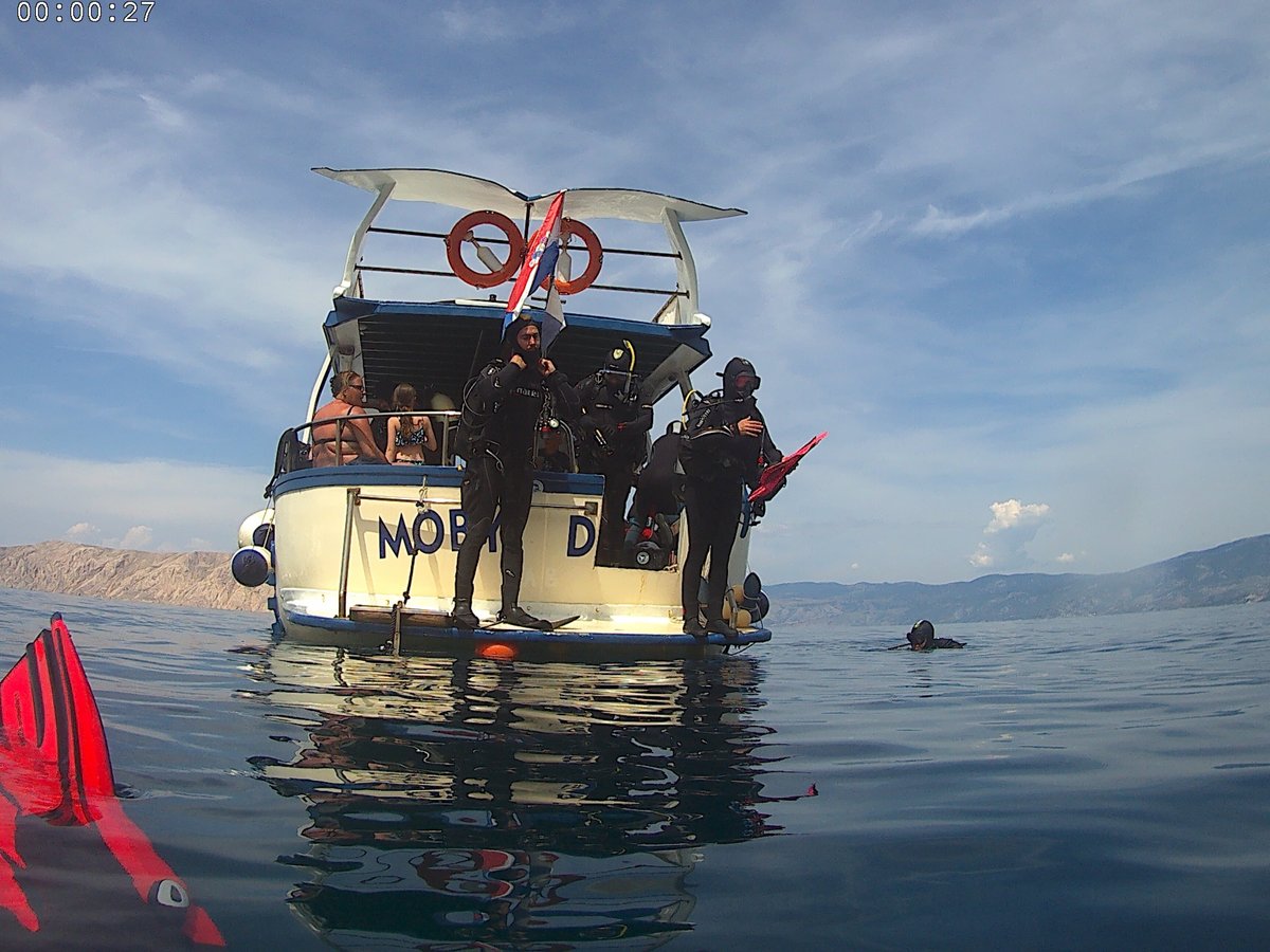 Moby Dick Diving, Лопар: лучшие советы перед посещением - Tripadvisor