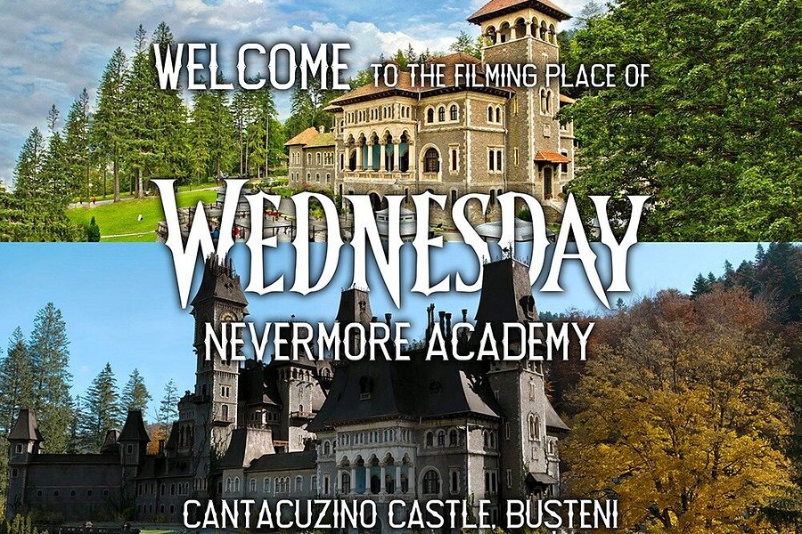 Cantacuzino Castle image