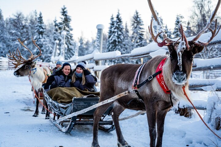 ラップランドの地元のトナカイ農場での半日体験、提供元：Beyond Arctic | ロヴァニエミ, フィンランド - Tripadvisor