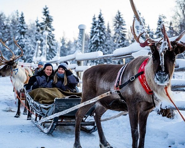 lapland day trip 23