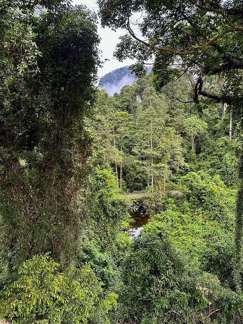 Borneo Rainforest Lodge Danum Valley Conservation Area Updated 2023 Hotel Reviews Price 2600