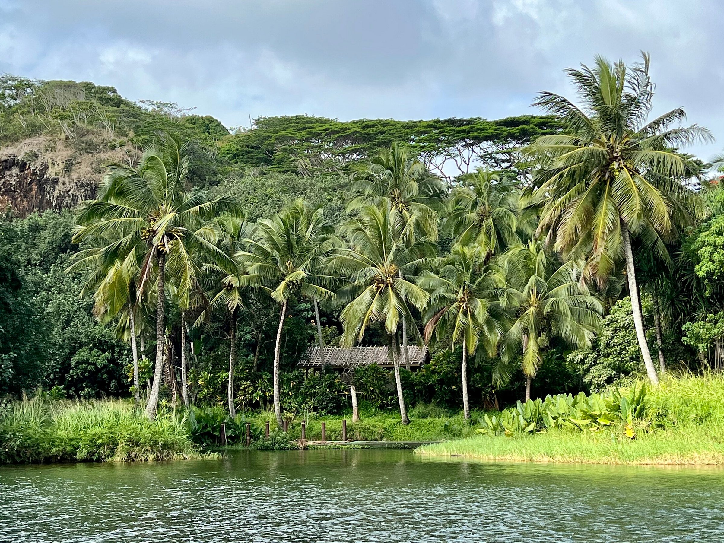 polynesian adventure tours careers