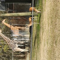 Baton Rouge Zoo - All You Need to Know BEFORE You Go