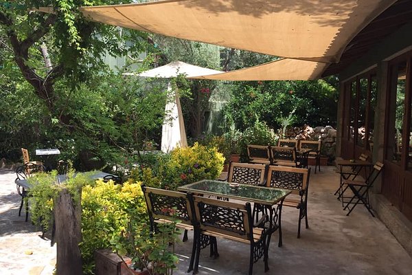 MINI COFFEE SHOP, Bodrum District - Duzalan Cad. No.8 Ortakent - Restaurant  Reviews & Photos - Tripadvisor