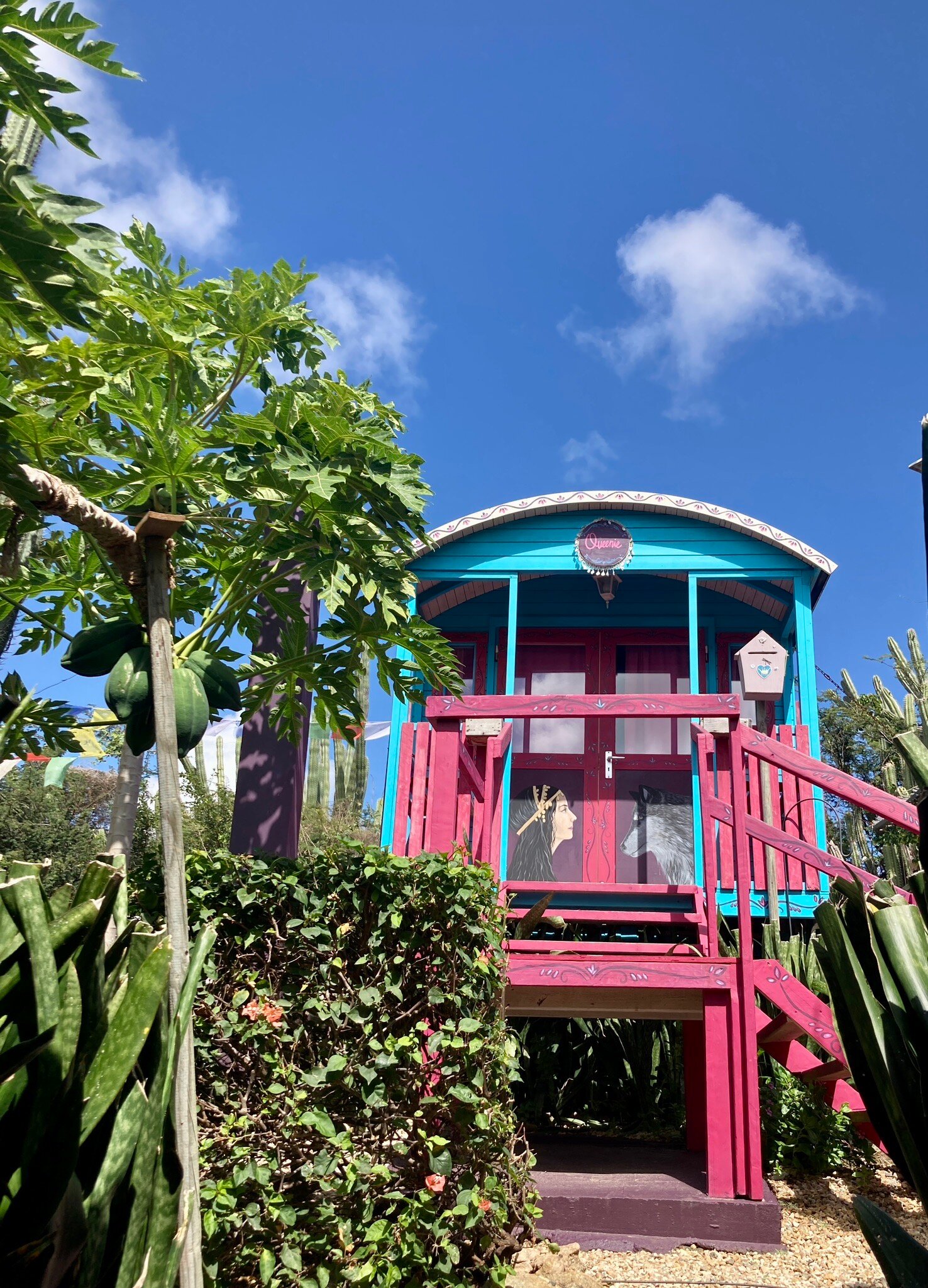 MAMMALOE'S B&B - Updated 2024 Prices & Reviews (Aruba/Santa Cruz)