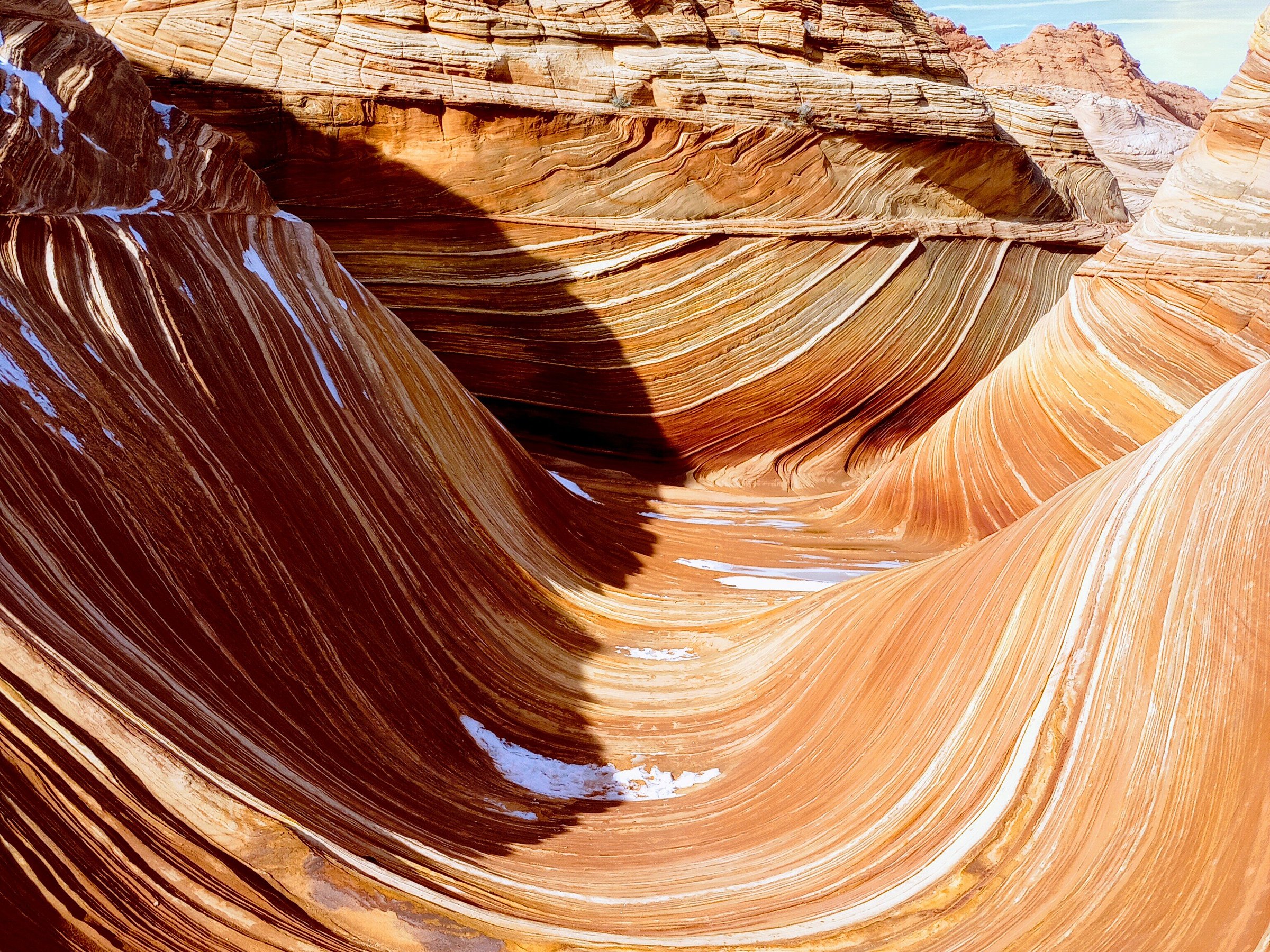 coral cliffs tours of kanab reviews