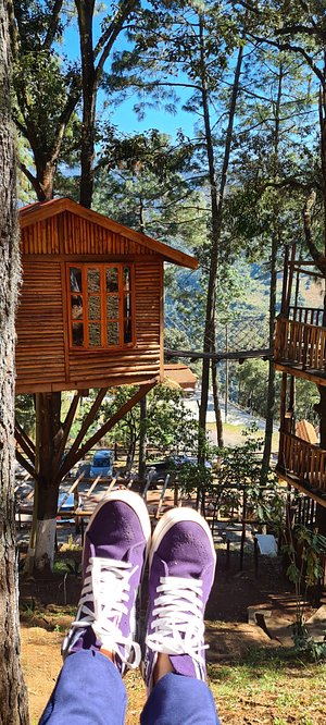 CABAÑAS KALI TREE (Zacatlán, Puebla) - opiniones y comentarios - campamento  - Tripadvisor