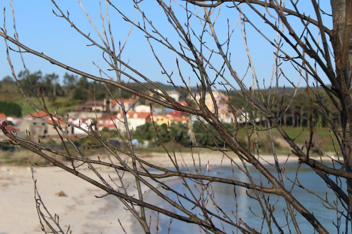 Imagen 17 de HOTEL PLAYA DE SARDIÑEIRO