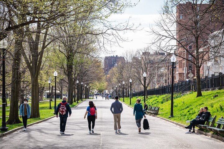 Tripadvisor ボストン：ノースエンドからフリーダム トレイルまで 食と歴史のウォーキング ツアー、提供元：Intrepid  Urban Adventures Boston マサチューセッツ州