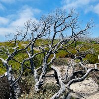 Flinders Chase National Park - All You Need to Know BEFORE You Go (2024)