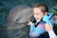 Dolphin Discovery Cozumel - All You Need to Know BEFORE You Go