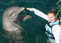 Dolphin Discovery Cozumel - All You Need to Know BEFORE You Go