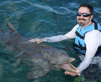 Dolphin Discovery Cozumel - All You Need to Know BEFORE You Go