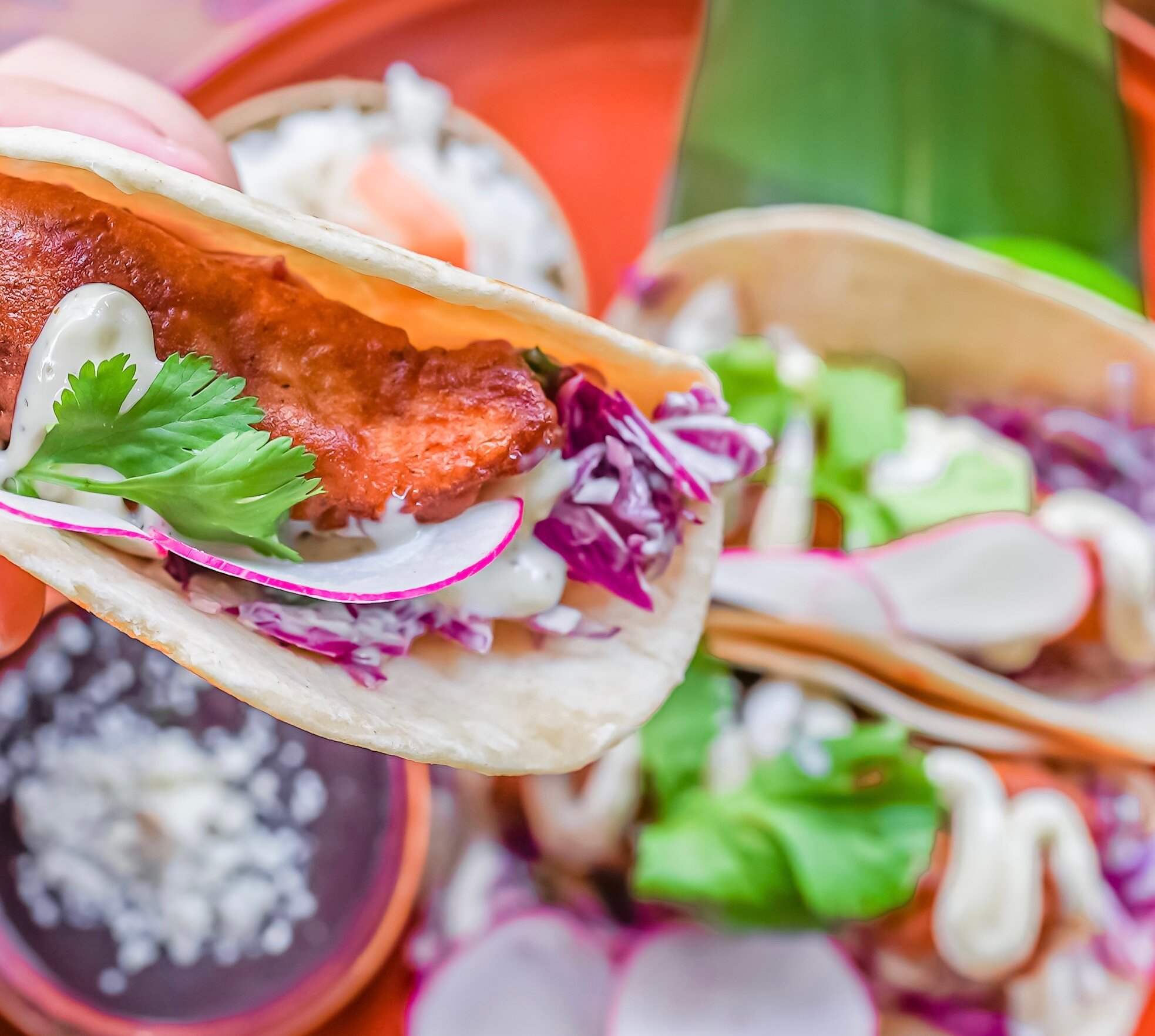 THE 10 BEST Restaurants In Miami Beach Updated March 2024   Fish Tacos 