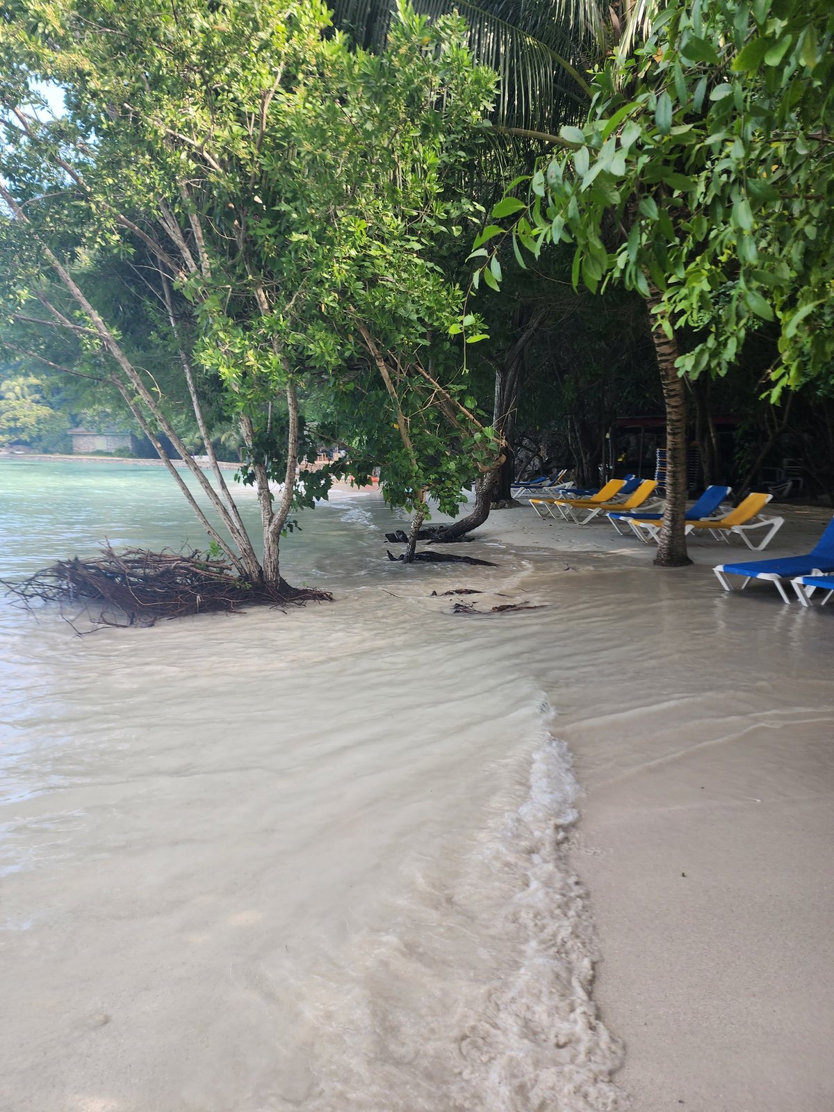 Unique Travel Experiences In Haiti