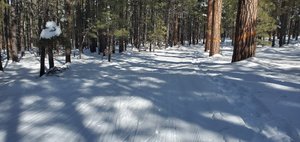 Flagstaff Nordic Center - All You Need to Know BEFORE You Go