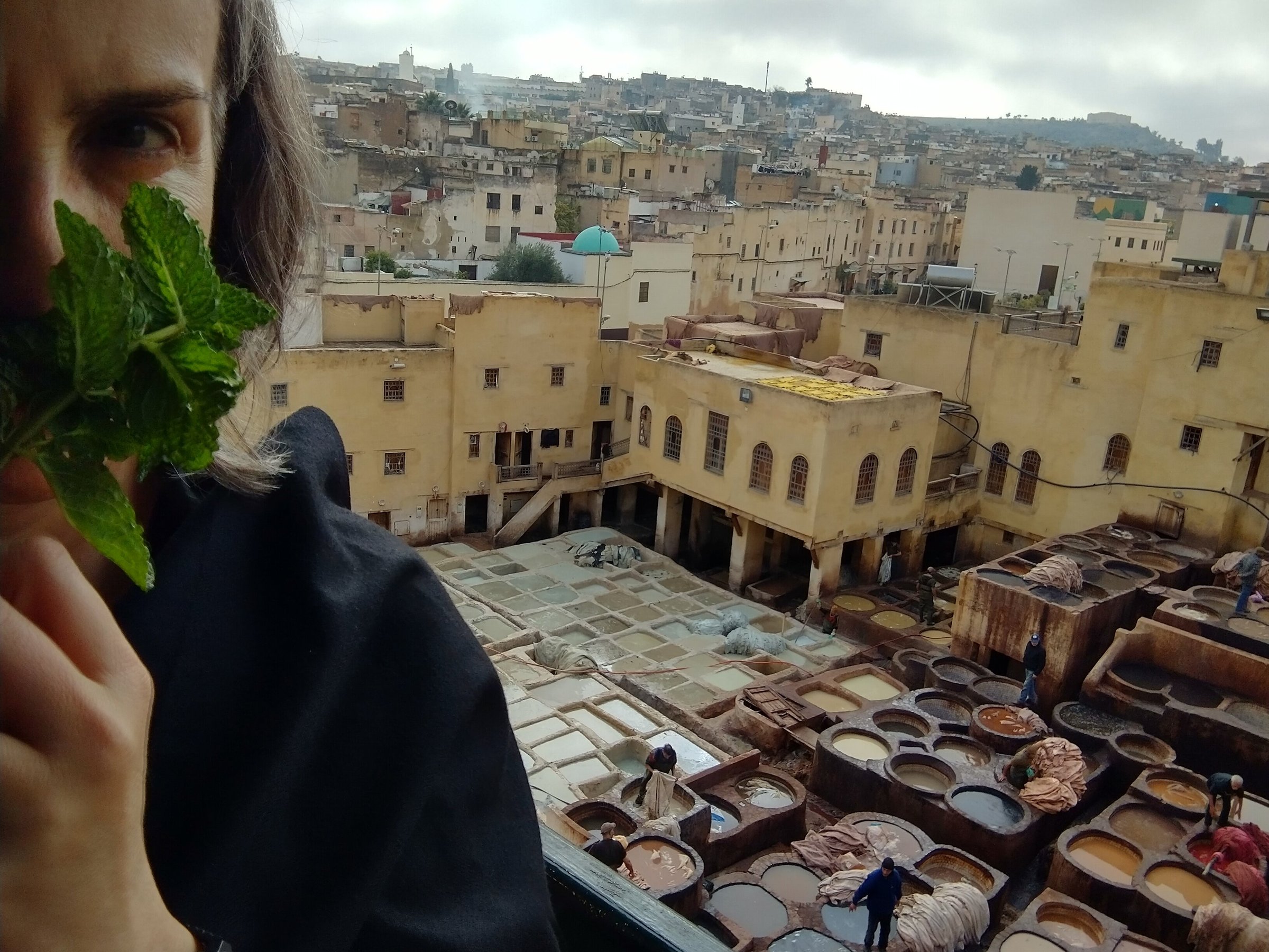 Marrakech Tours Trips - All You Need to Know BEFORE You Go