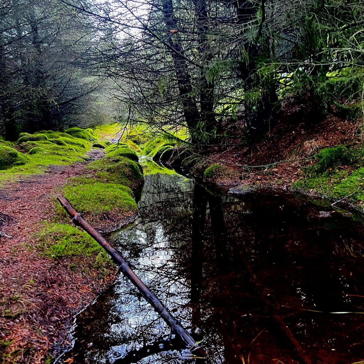 GISBURN FOREST AND STOCKS (Slaidburn): Ce qu'il faut savoir pour votre ...