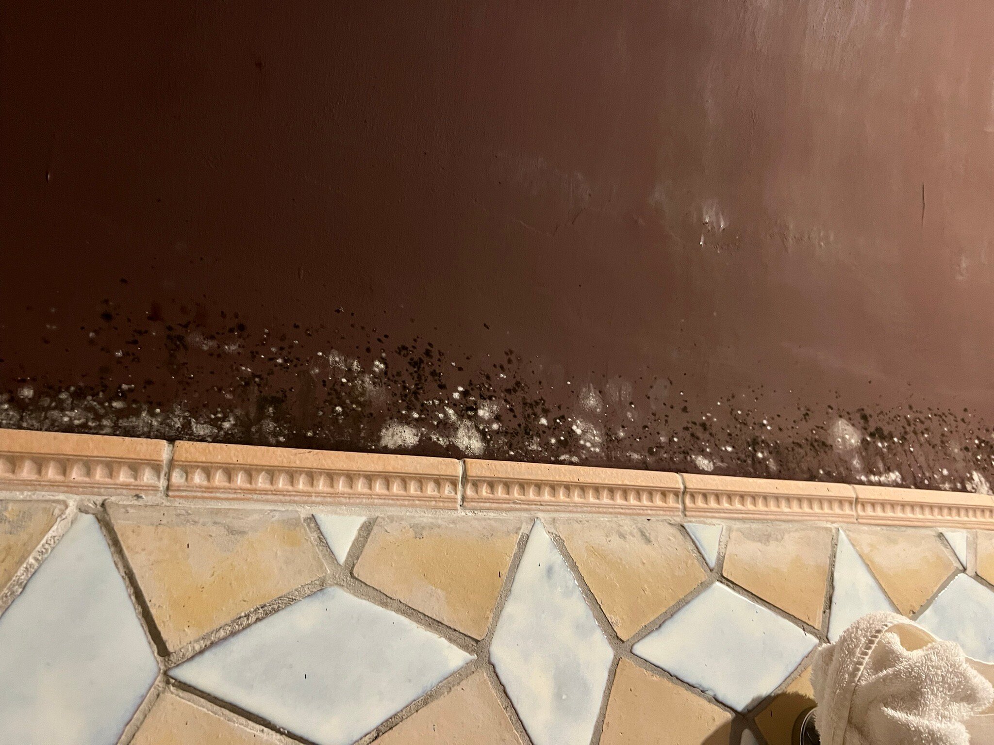 OSTELLO BELLO FIRENZE - Updated 2023 Prices & Hostel Reviews