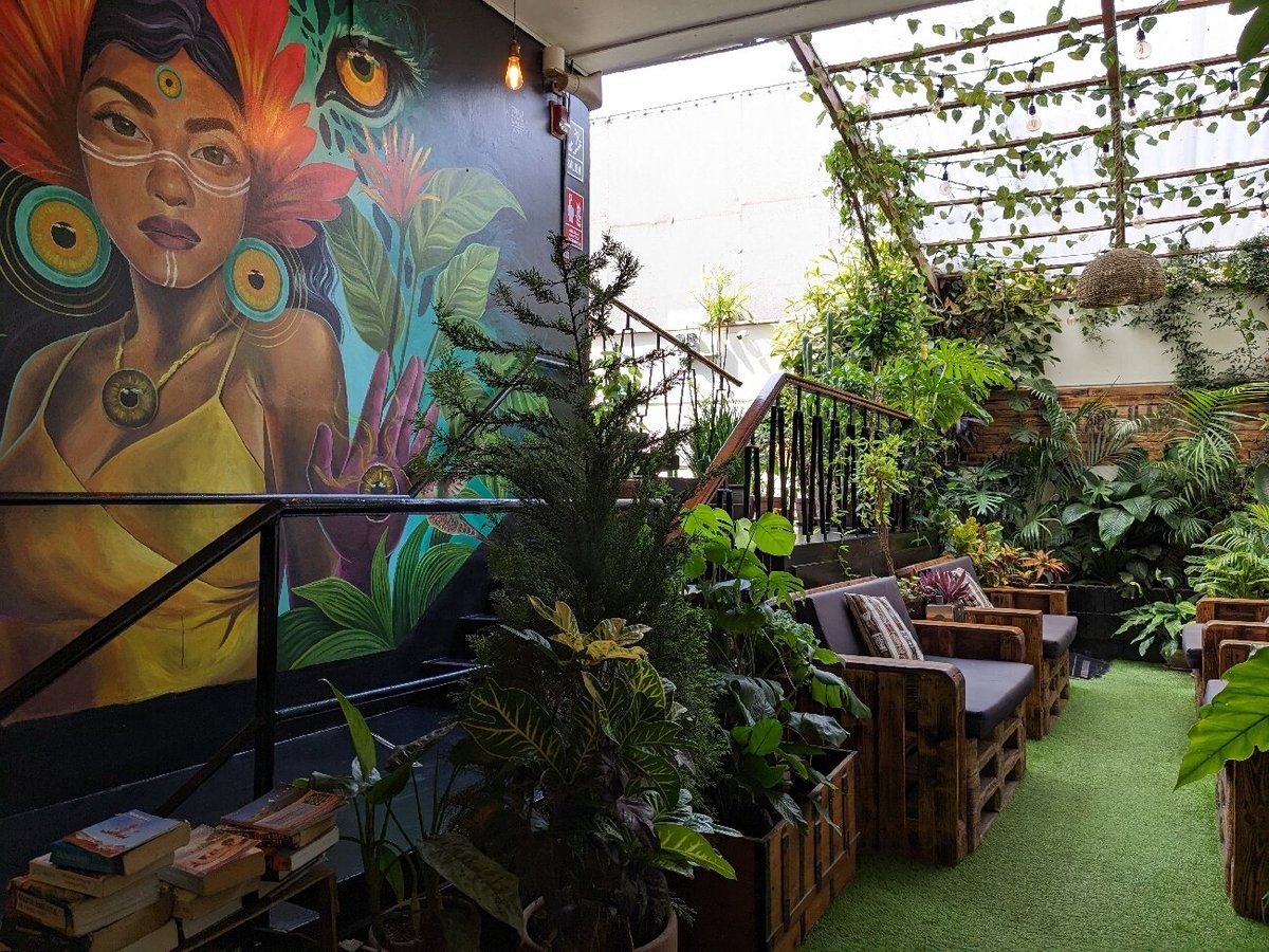 BLACK LLAMA HOSTEL, MIRAFLORES - opiniones y precios