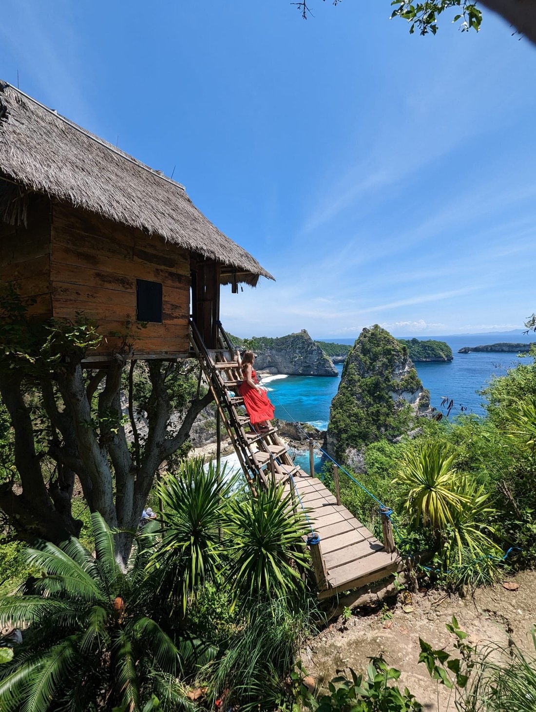 Tree House