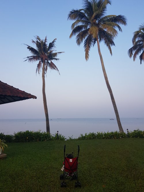 Karma Chakra Kumarakom Kerala Hotel Reviews And Photos Tripadvisor