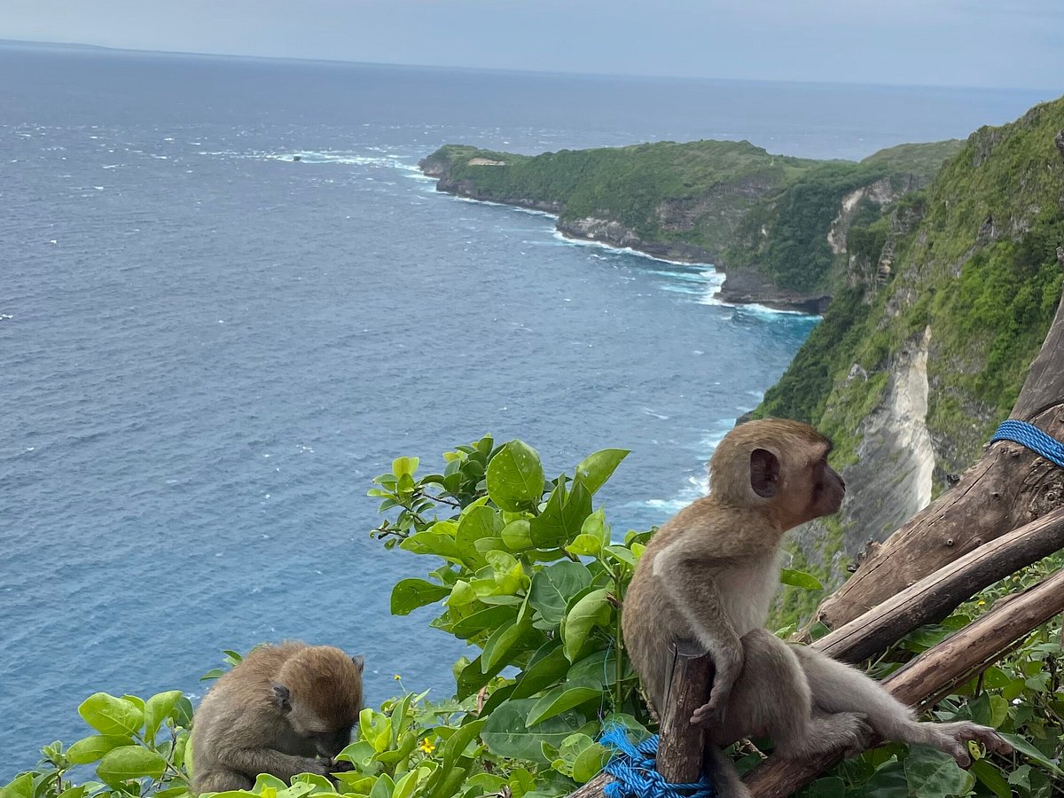 Nusa Penida info: лучшие советы перед посещением - Tripadvisor