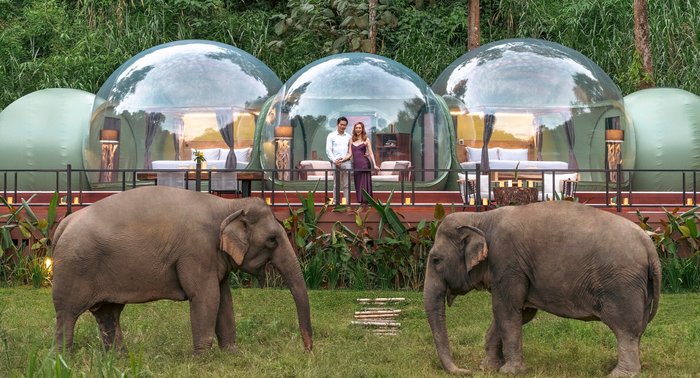 Anantara Golden Triangle Elephant Camp & Resort Massage: Pictures ...