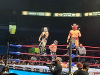 Tripadvisor, Lucha libre (luta livre mexicana) (tour privado) fornecido  pela Unlimited Experiences