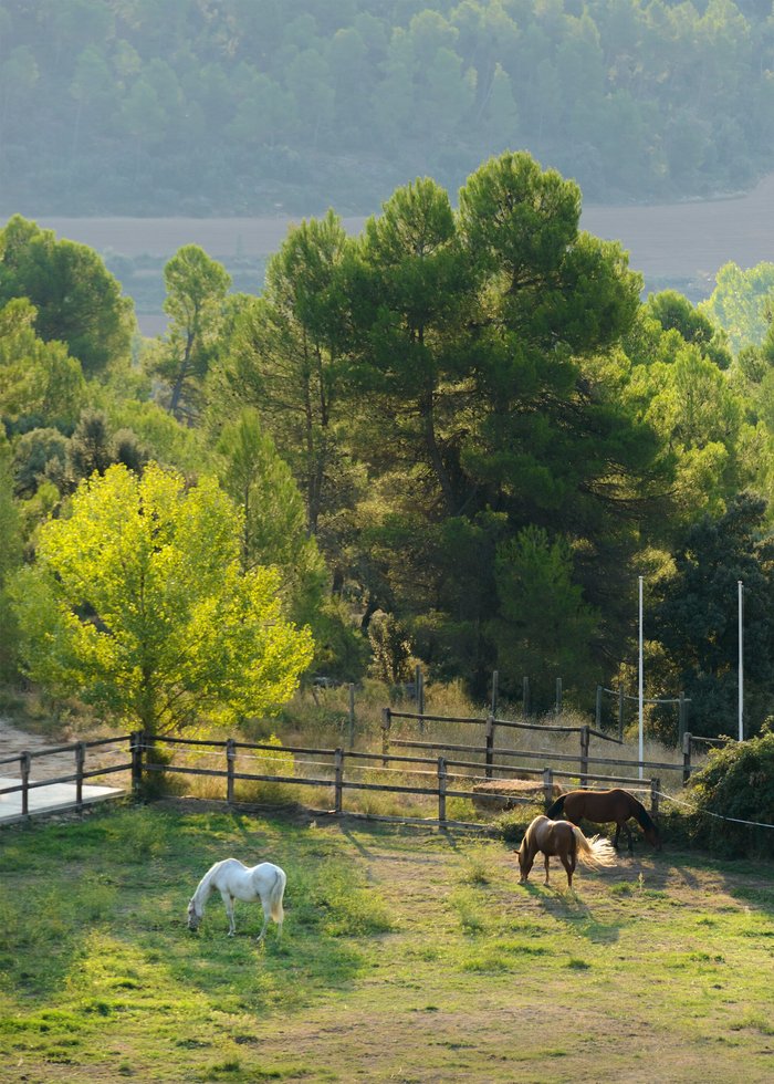 Imagen 11 de Torre Del Marqués