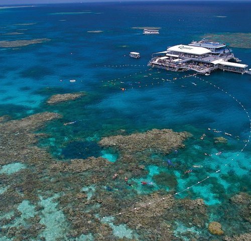2023 Quicksilver Outer Great Barrier Reef Snorkel Cruise from Port