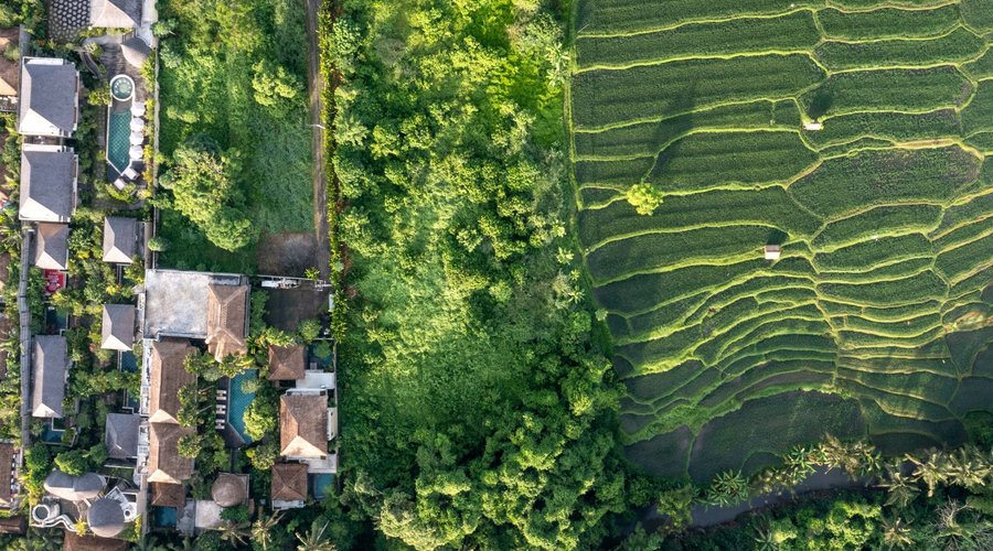 Aerial