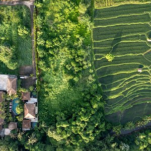 bali safari park gianyar The Alena Resort by Pramana in Lodtunduh, image may contain: Outdoors, Nature, Countryside, Rural