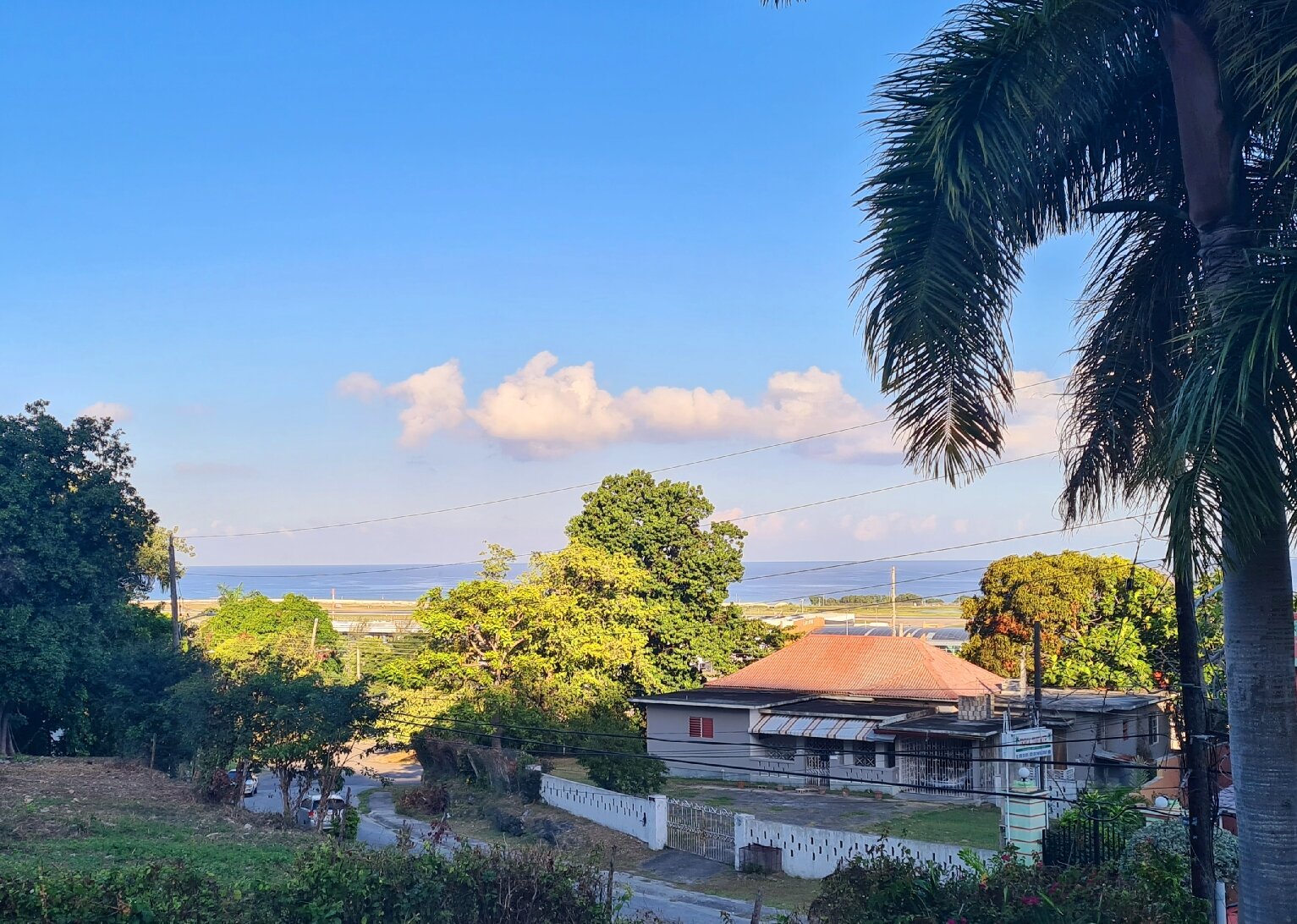 THE BLUE ORCHID - Updated 2023 Prices & B&B Reviews (Montego Bay, Jamaica)