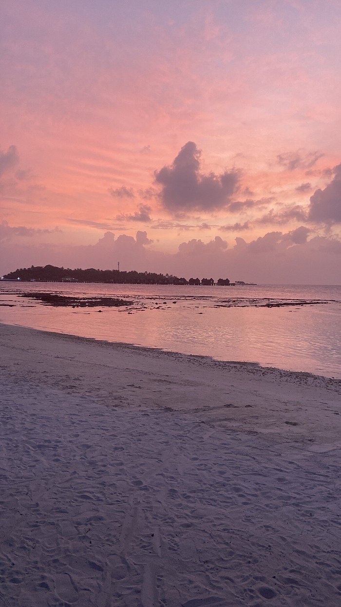 PAGURO SEAVIEW (Bodufolhudhoo) - отзывы, фото и сравнение цен - Tripadvisor