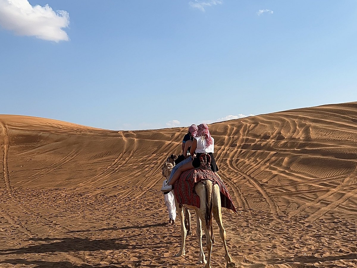 Dubai Desert Safari by High Motion, Дубай: лучшие советы перед посещением -  Tripadvisor