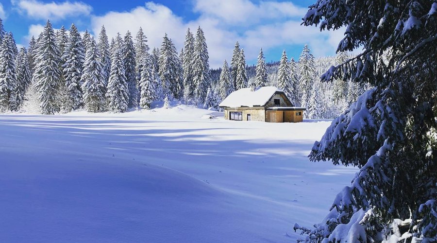 La Loge de la Dolarde vous attend pour une immersion dans un paysage de carte postale !

#gite #gitehautdegamme #jura #lalogedeladolarde #geneve #nature #massage #lodge #accomodation #calme