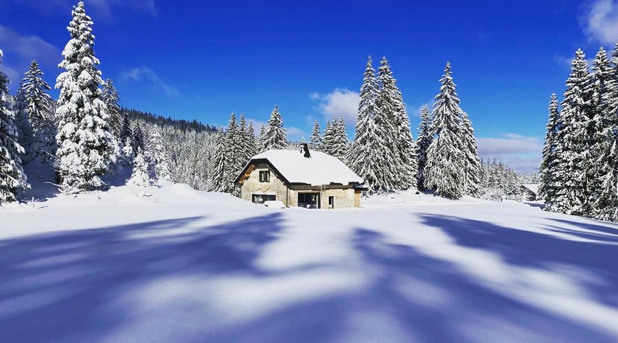 La Loge de la Dolarde vous attend pour une immersion dans un paysage de carte postale !

#gite #gitehautdegamme #jura #lalogedeladolarde #geneve #nature #massage #lodge #accomodation #calme