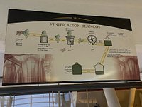 Bodega Chandon - What To Know BEFORE You Go