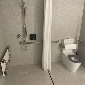 Bathroom in Queen accessible room 