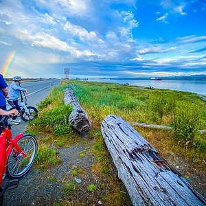 Things to Do in Birch Bay Wa: Unmissable Activities and Attractions