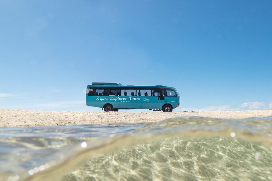 fraser island explorer day tour