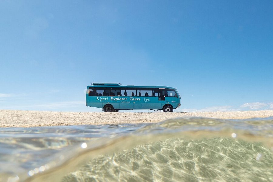 fraser island explorer day tour