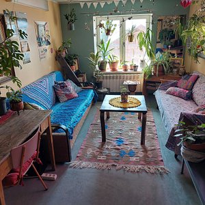 Looming hostel living room is filled with plants, pictures and good vibes! 