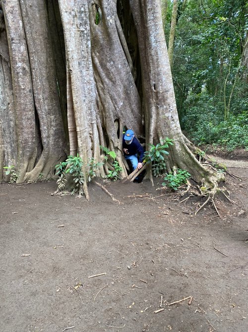 Monteverde KailuaSkaterGirl review images