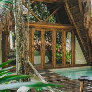Jungle Room With Private Pool & Deck