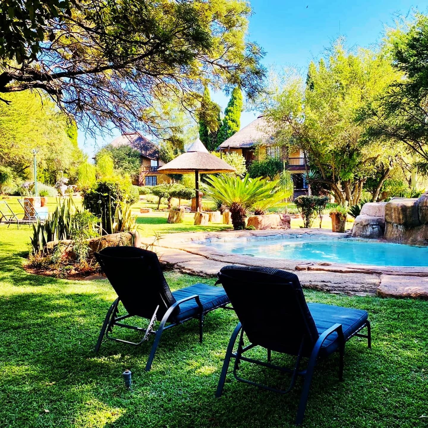 African Lion Lodge - UPDATED 2023 Reviews & Photos (Bela Bela, South Africa) - Lodging - Tripadvisor