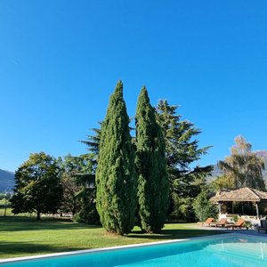 Peaceful garden and pool