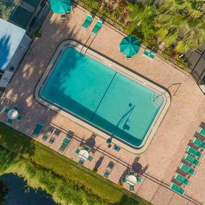 Arial view of pool with lounge chairs and umbrellas.