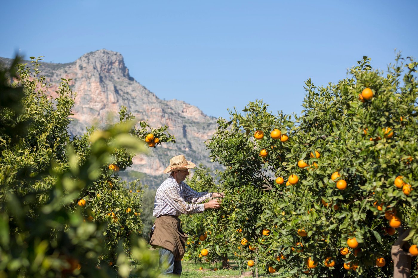 AGROKTIMA - Updated 2024 Prices & B&B Reviews (Leonidio, Greece) AGROKTIMA - Updated 2024 Prices &  B&B Reviews (Leonidio, Greece)